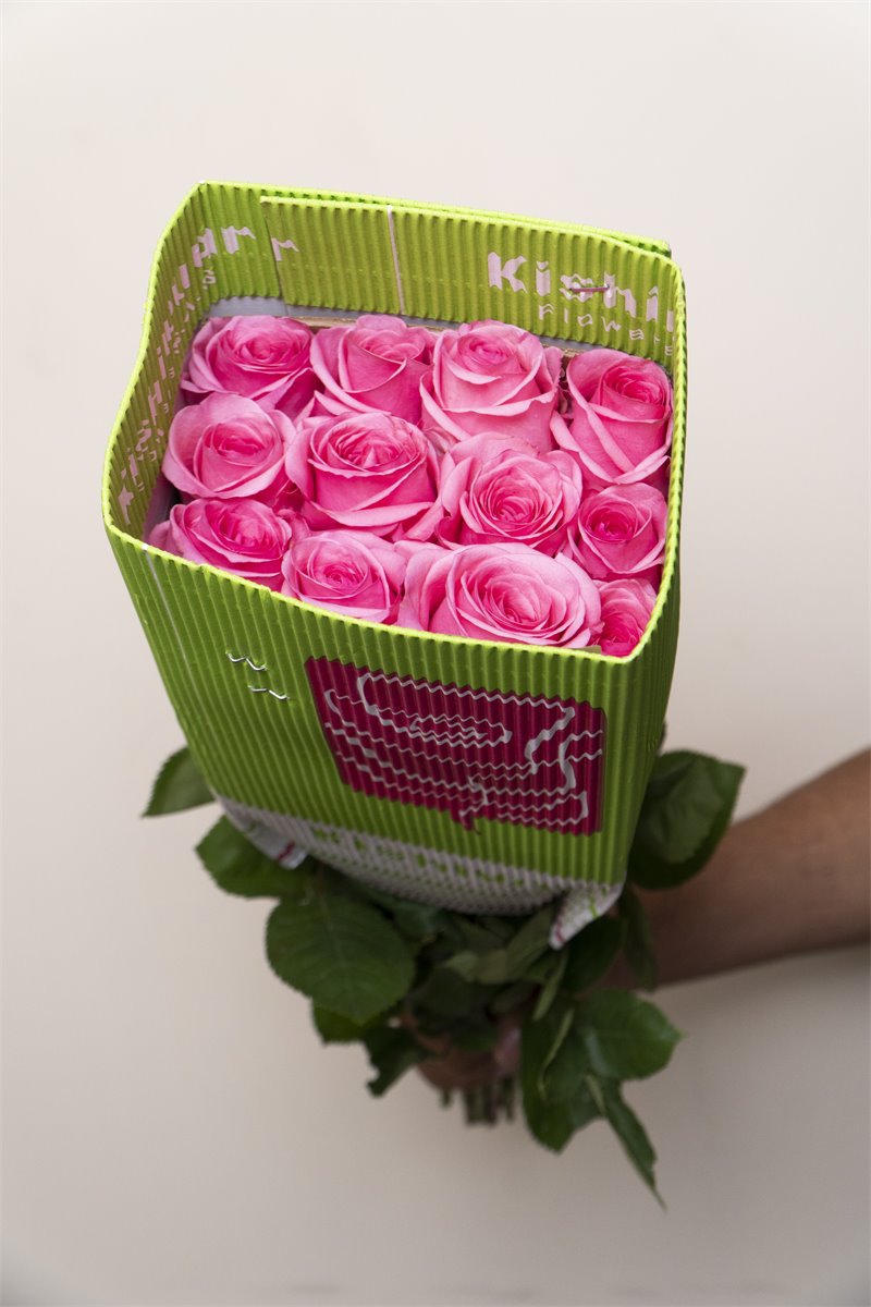 Rosas rosadas premium en malla