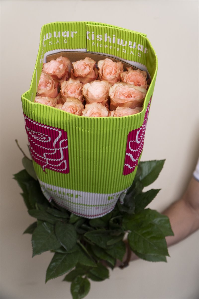 Rosas blush premium en malla | Almacen Floral