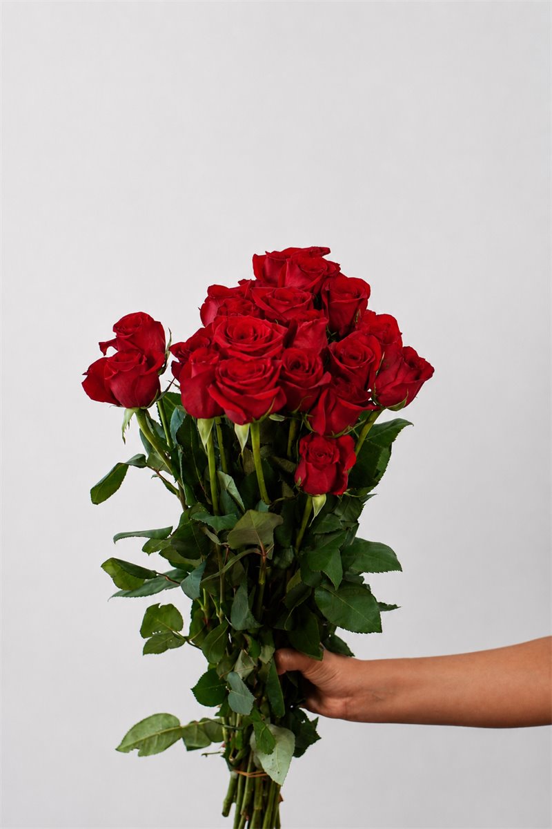 Ramo clasico de rosas rojas | Almacen Floral