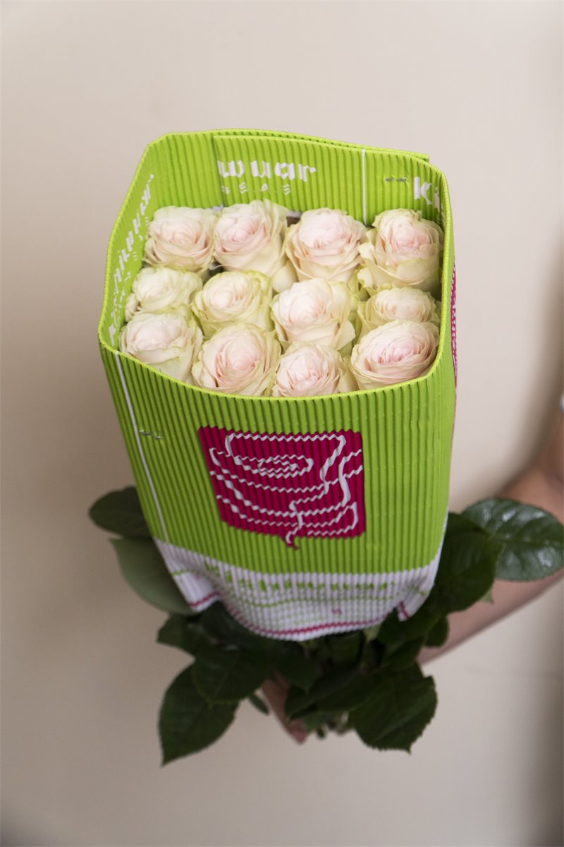 Rosas blancas premium en malla | Almacen Floral