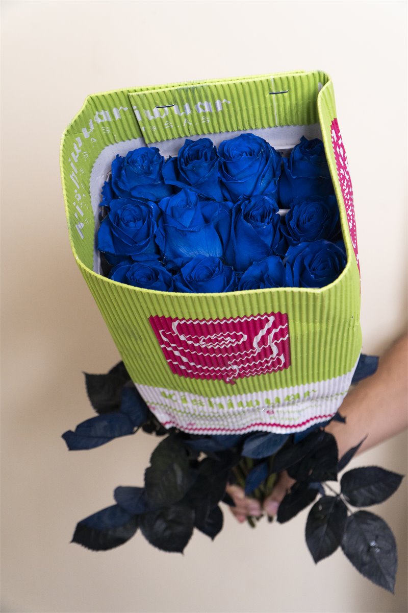 Rosas azules premium en malla | Almacen Floral