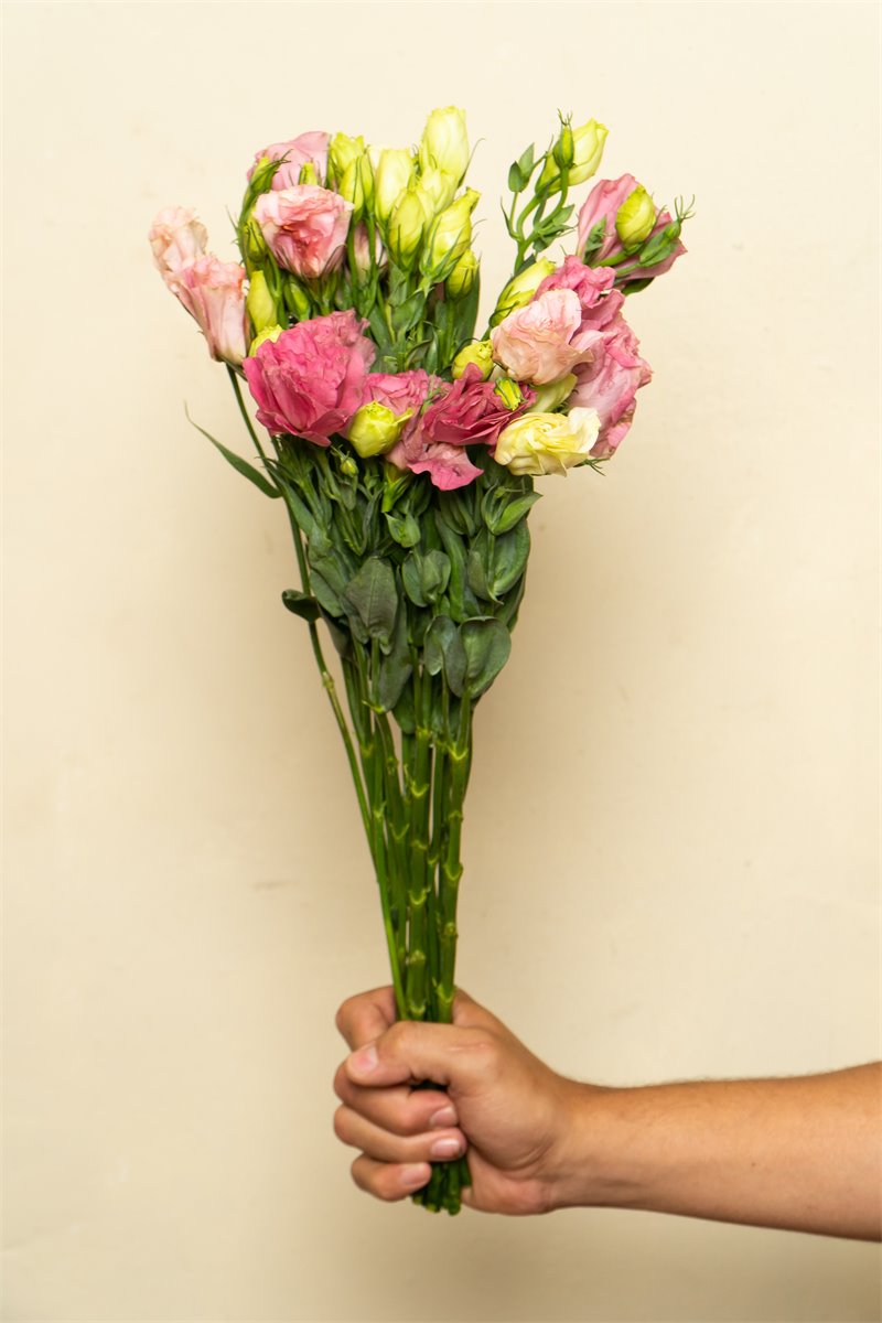 Bouquet mixto rosado | Almacen Floral