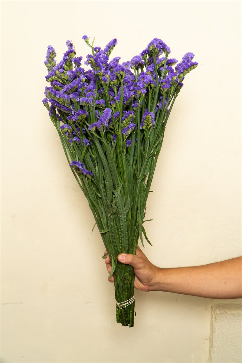 Lavanda fresca | Almacen Floral