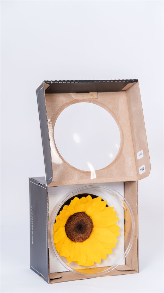 Caja premium girasol | Almacen Floral