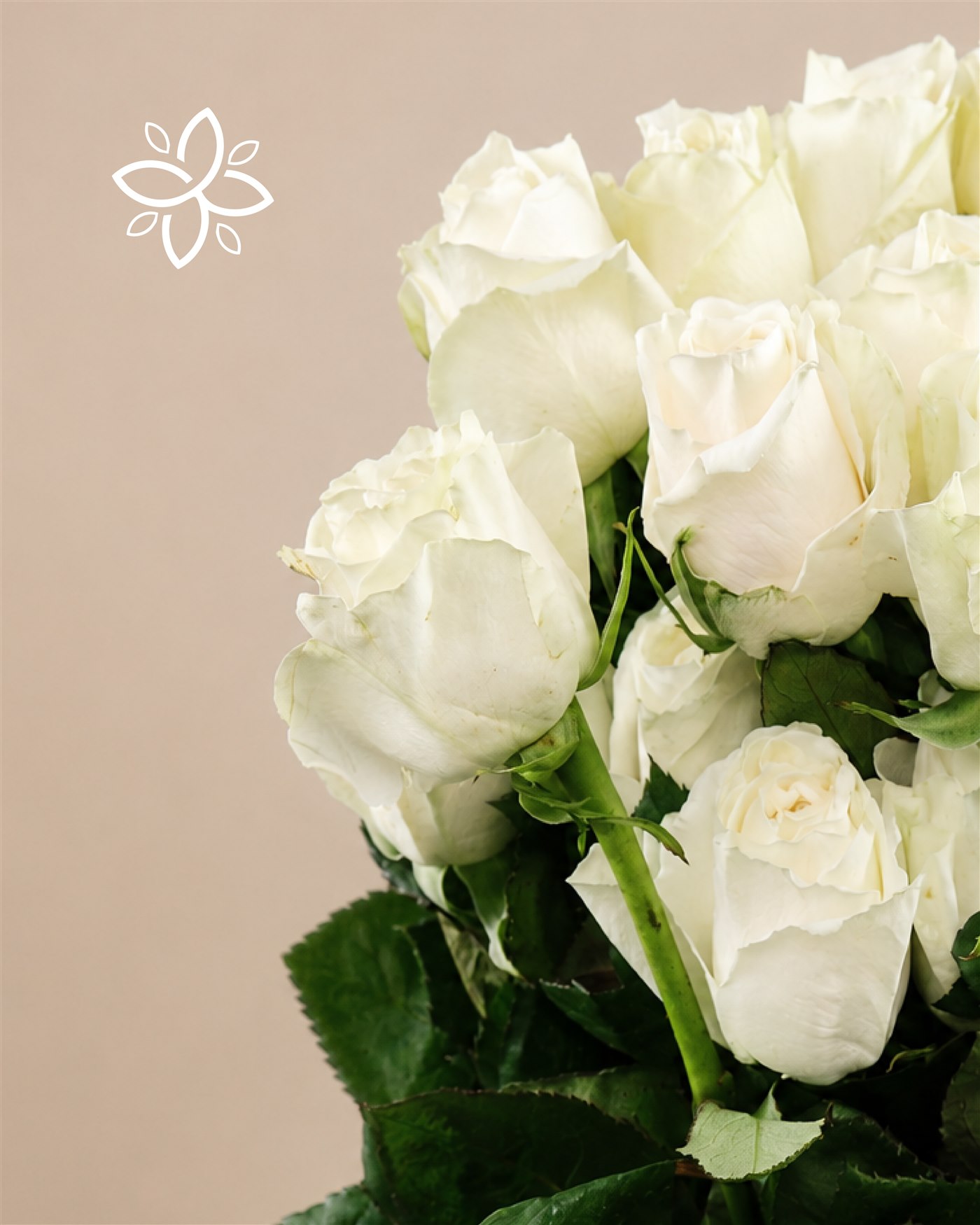 Portada visual del catalogo de Almacen Floral.
