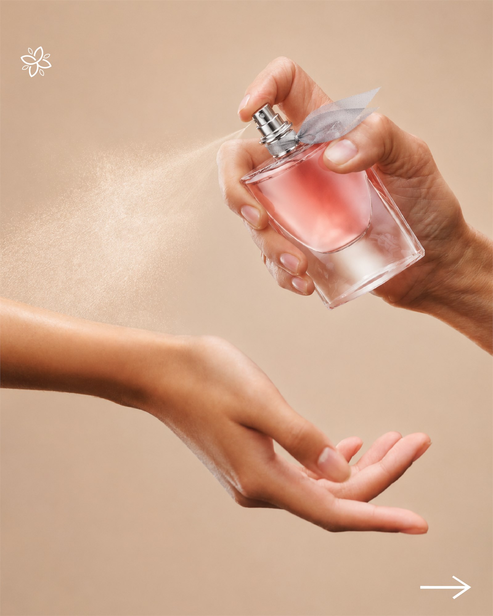 Portada visual del catalogo de Almacen Floral.