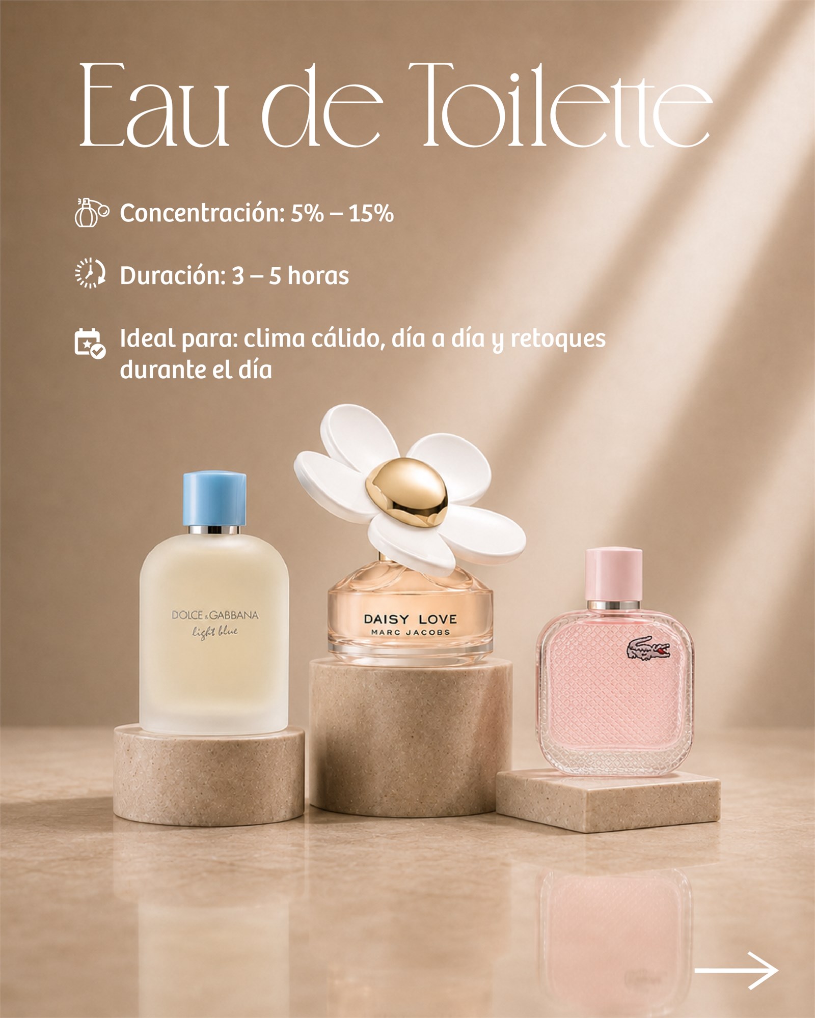 Portada visual del catalogo de Almacen Floral.