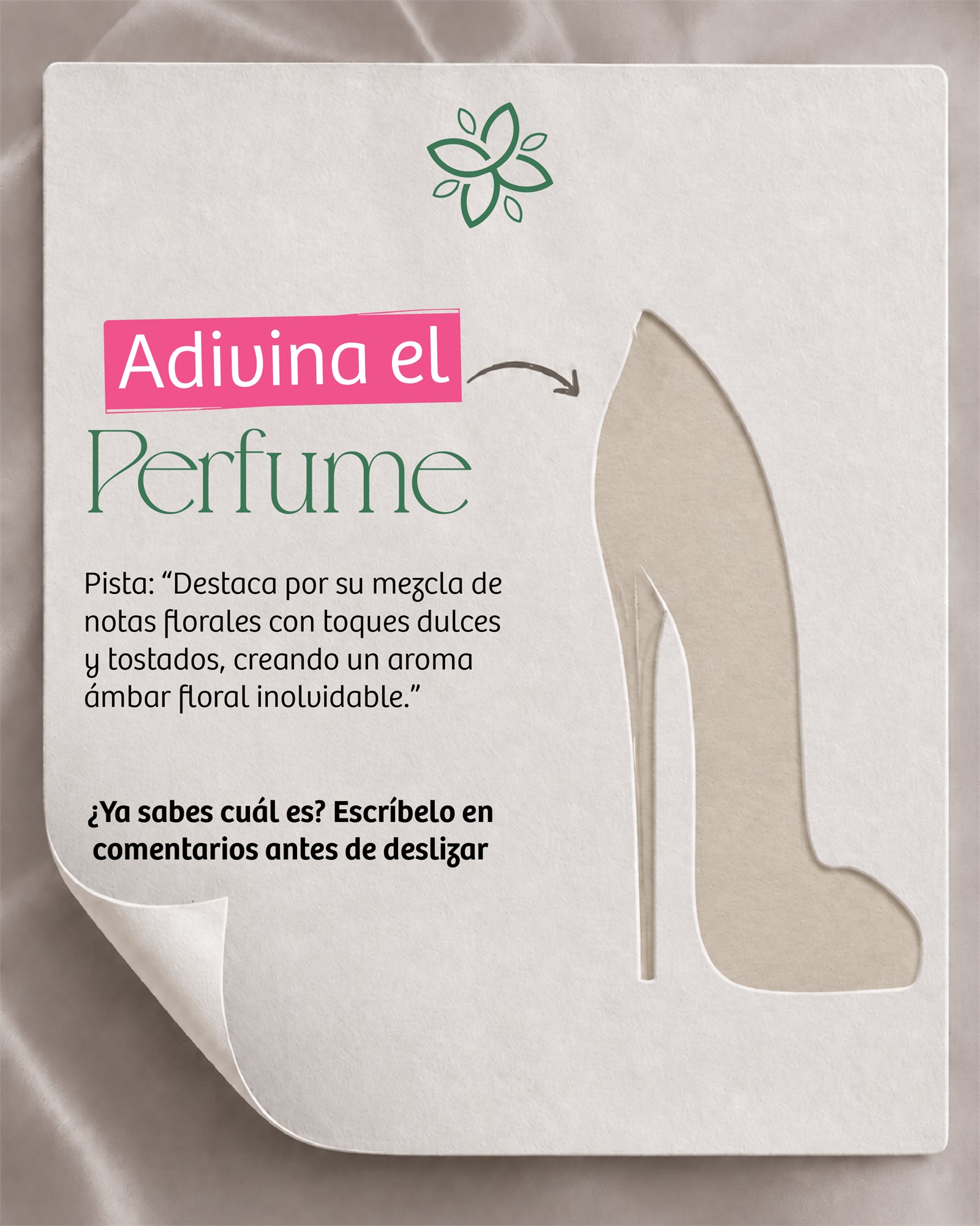 Portada visual del catalogo de Almacen Floral.
